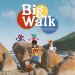 خرید اکانت قانونی big walk